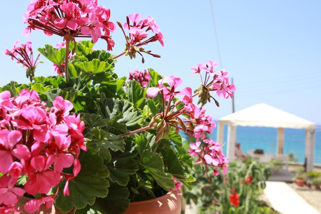 Aristotelis-nikos * Paramonas (Corfu)