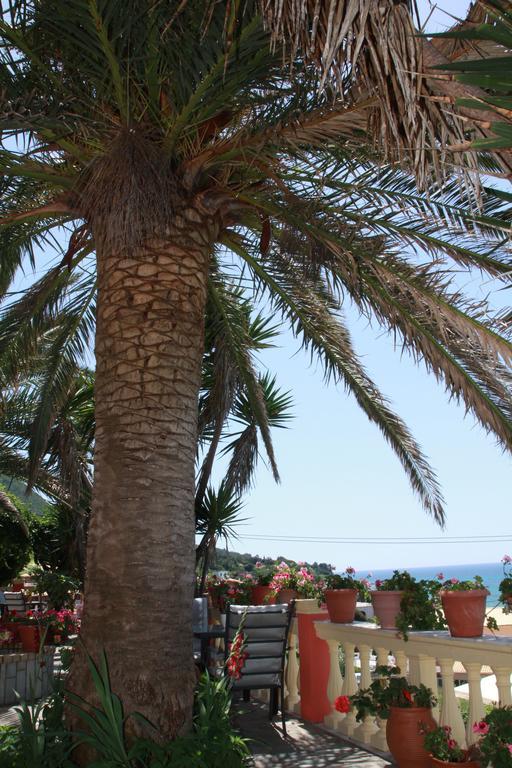 Aristotelis-nikos Paramonas (Corfu)